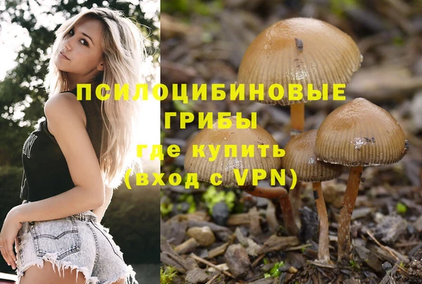 бошки Алексин