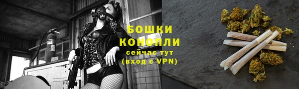 бошки Алексин