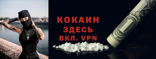 бошки Алексин