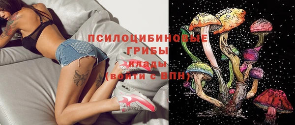 прущие грибы Алексеевка