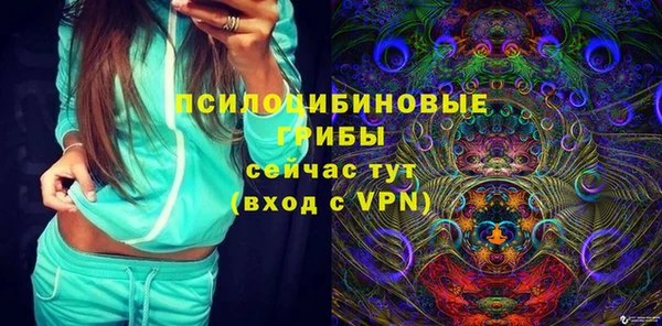 бошки Алексин