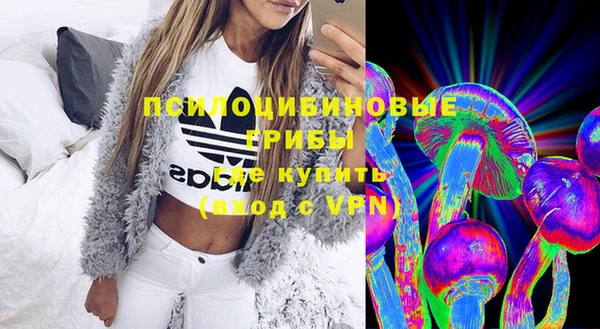 прущие грибы Алексеевка