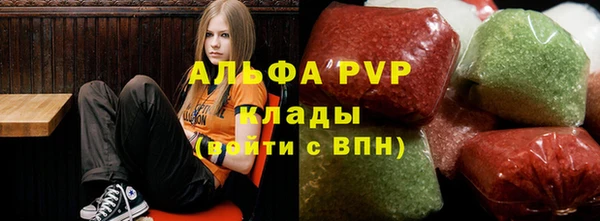 прущие грибы Алексеевка