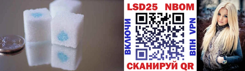 даркнет состав  Куровское  Лсд 25 экстази ecstasy  купить закладку 
