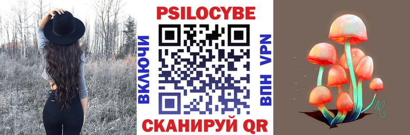 МЕГА рабочий сайт Куровское Галлюциногенные грибы мицелий сколько стоит