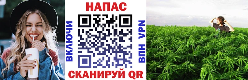 hydra tor  Куровское  Марихуана White Widow  наркотики 